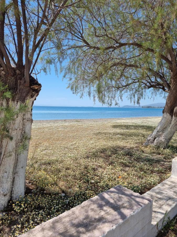 To Kyma Aparthotel Amarynthos Exteriör bild